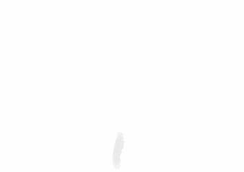 ����ä�