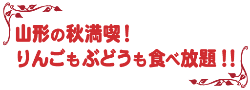 山形の秋満喫!りんごもぶどうも食べ放題!!