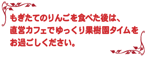 もぎたてのりんごを食べた後は、直営カフェでゆっくり果樹園タイムをお過ごしください。