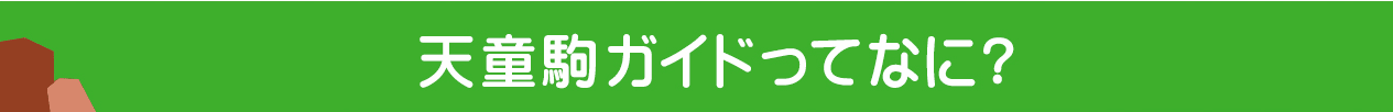 天童駒ガイドってなに?