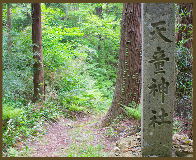 天童神社