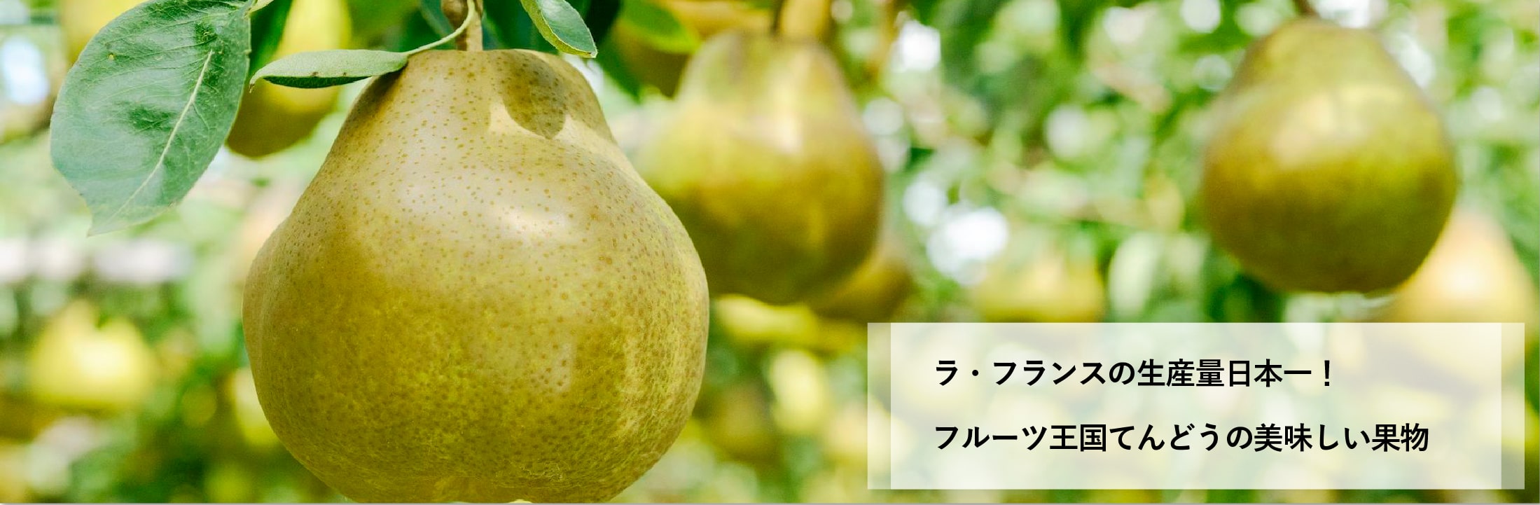 温泉(いで湯)