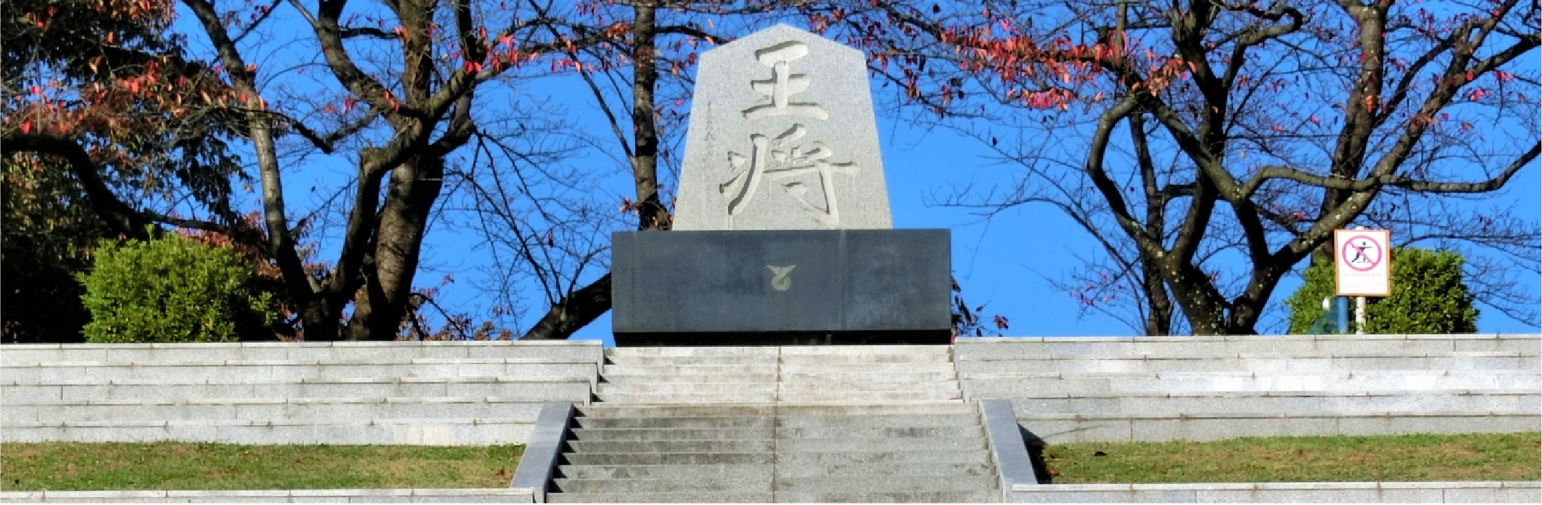 見どころ
