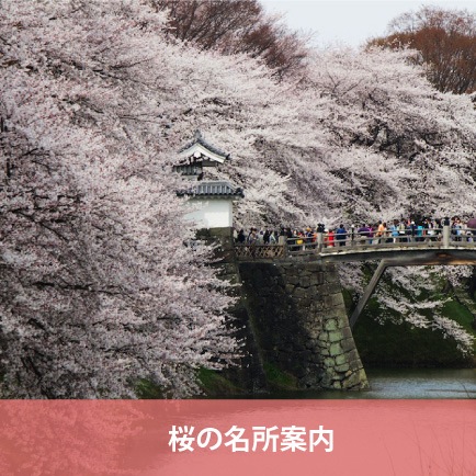 �������κ���̾�����