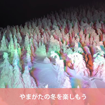 やまがたの冬を楽しもう