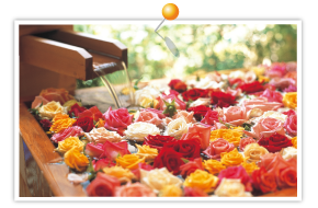 Rose bath
