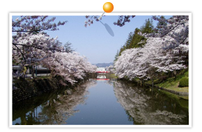 松が岬公園