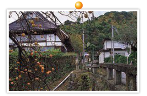 Naragejuku
