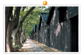山居仓库