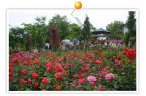 Soushou Park