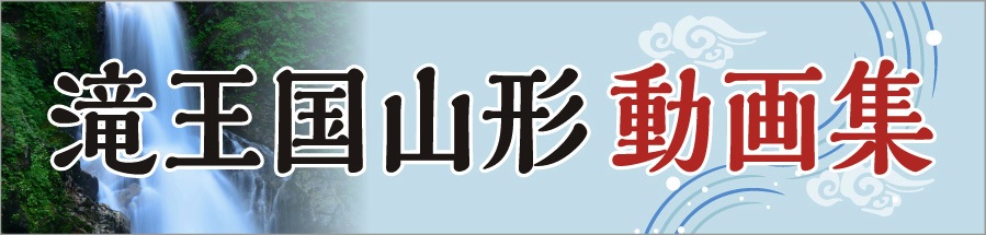 ��������У�ư��