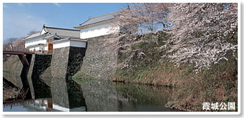 霞城公園の写真