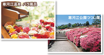 寒河江温泉と寒河江公園つつじ園の写真