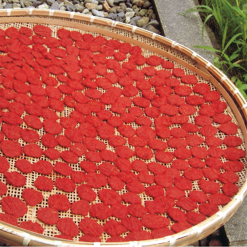 紅花画像ダウンロード：やまがたへの旅/山形県観光情報ポータルサイト