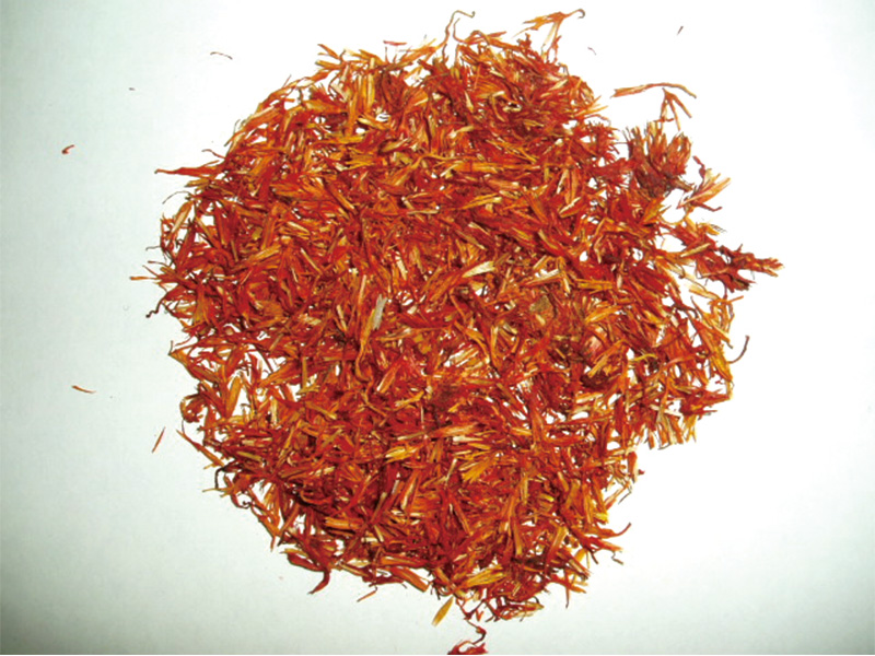 紅花画像ダウンロード：やまがたへの旅/山形県観光情報ポータルサイト