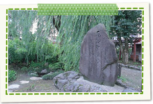 Shimizu of willow