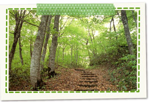 Natagiri-toge Pass (Akakura mouth)