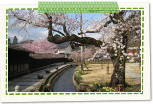 Ozeki Park