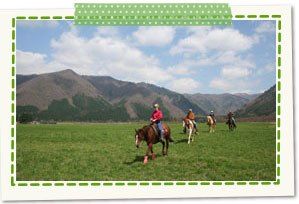 Maemori Highlands (lunch, horseback riding experience)