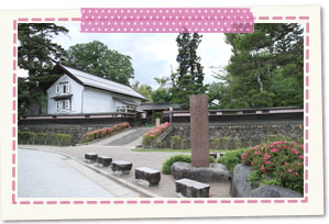 Safflower Museum