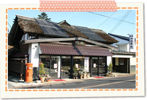 Brocade shop of cake of high quality