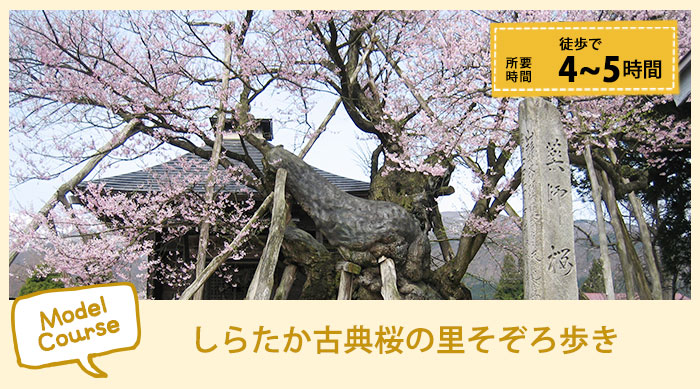 Stroll through a classical cherry blossom village