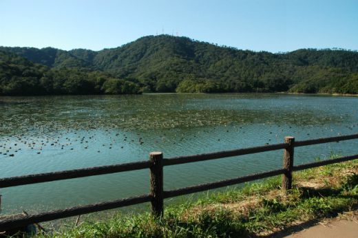 高館山:やまがたへの旅/山形県観光情報ポータルサイト