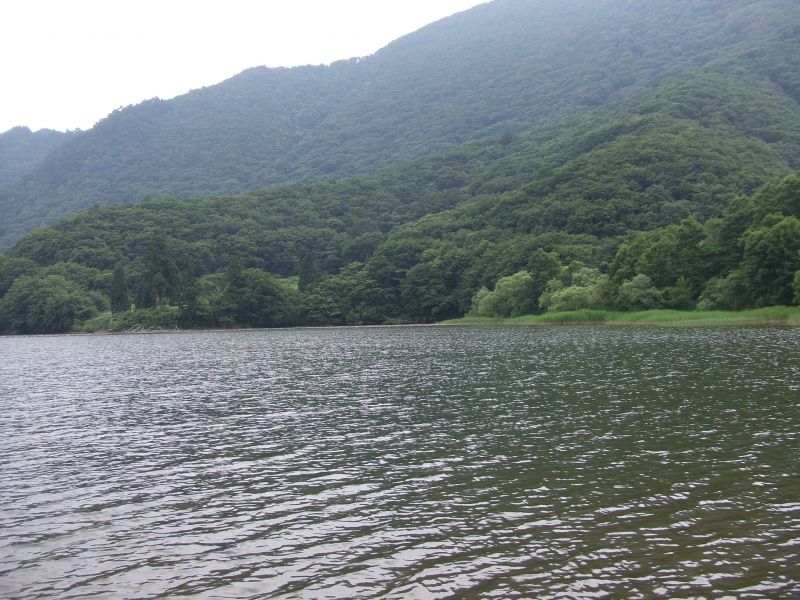 沼沢沼:やまがたへの旅/山形県観光情報ポータルサイト